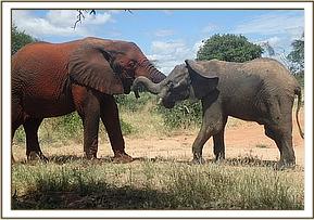 040 Kibo etEnkikwe