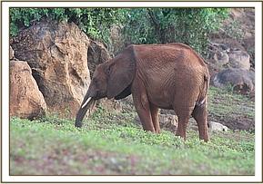 034 Suswa