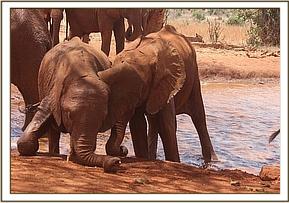 010 Ishaq B et Embu